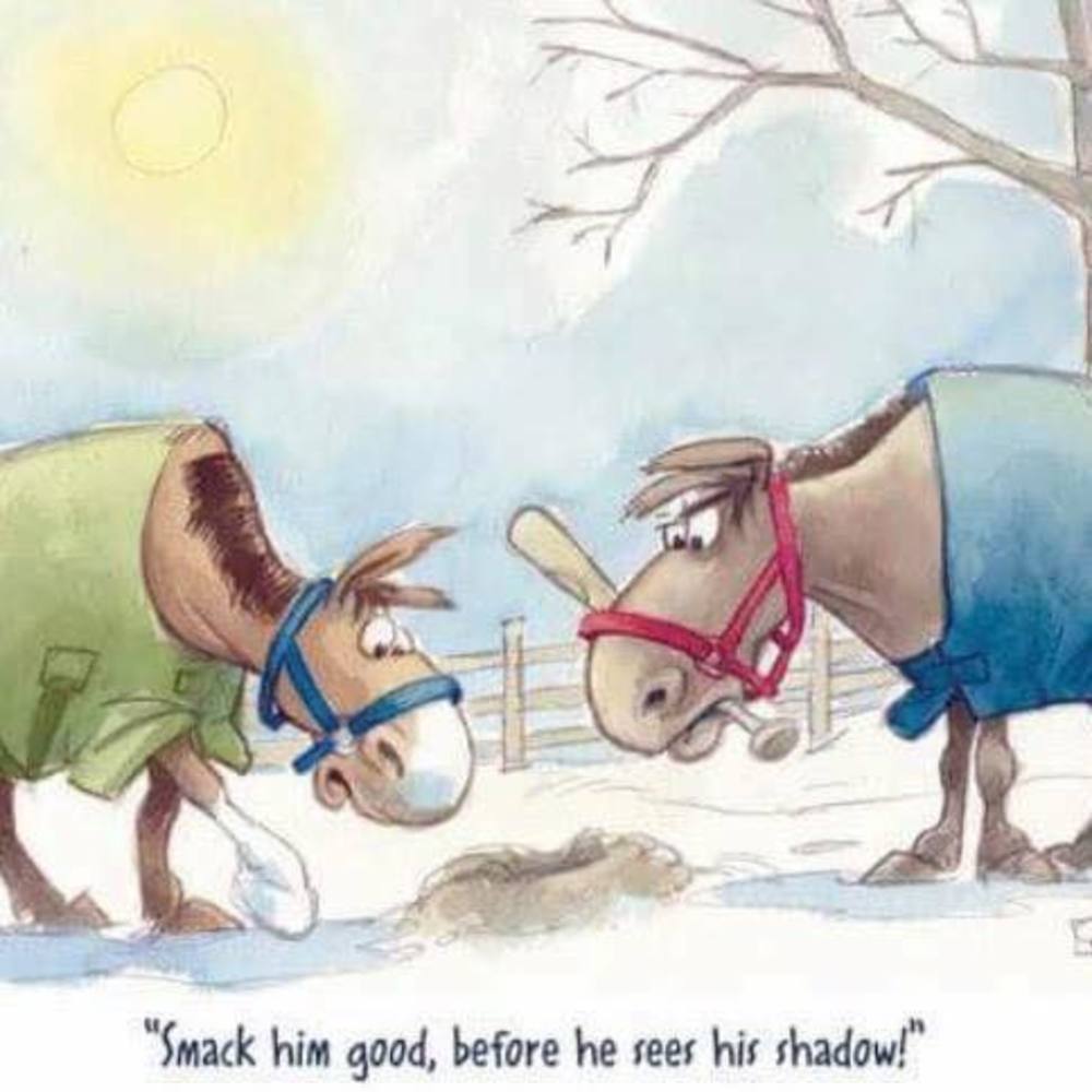 Meet your Posher, Jeananne